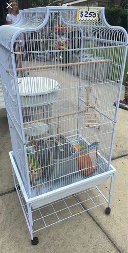 Large Birdcage & Accessories