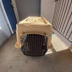 Dog Crate Or Pet Taxi 