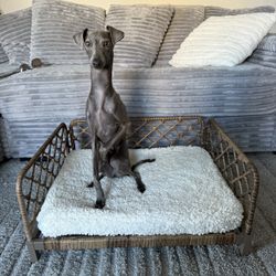 Dog Bed 