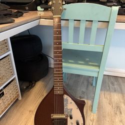 Rogue Electric Sitar Guitar