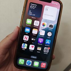 iPhone 13