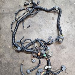 Eg Hatchback 92 95 Oem Si Vtec Engine Harness Clean Parts 