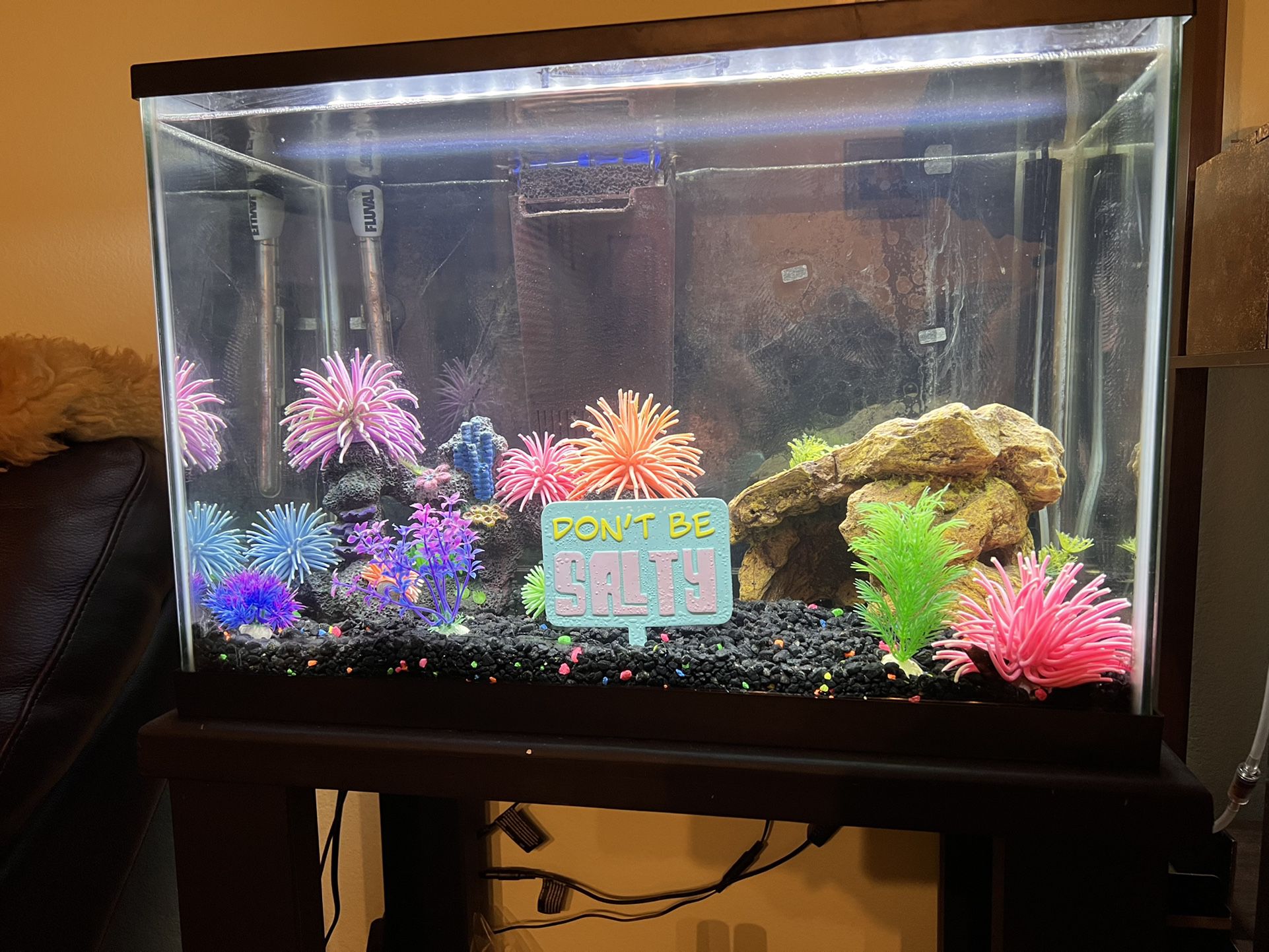 20 Gallon Fish tank/aquarium With Full Set Up And Decor