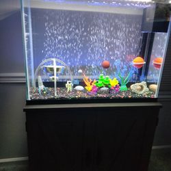 Fish Tank With Stand All Including 