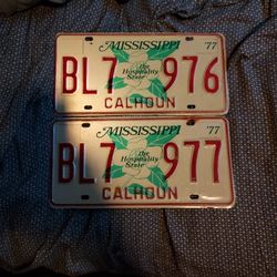 Two Consecutive Vintage 1977 Mississippi License Plates BL7-976 And BL7-977