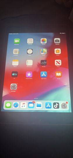 I pad mini
