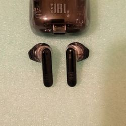 JBL Tune Flex Wireless Earbuds 