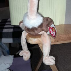 Beanie Baby Stretch