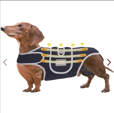 Back Bracer in Large Dogs