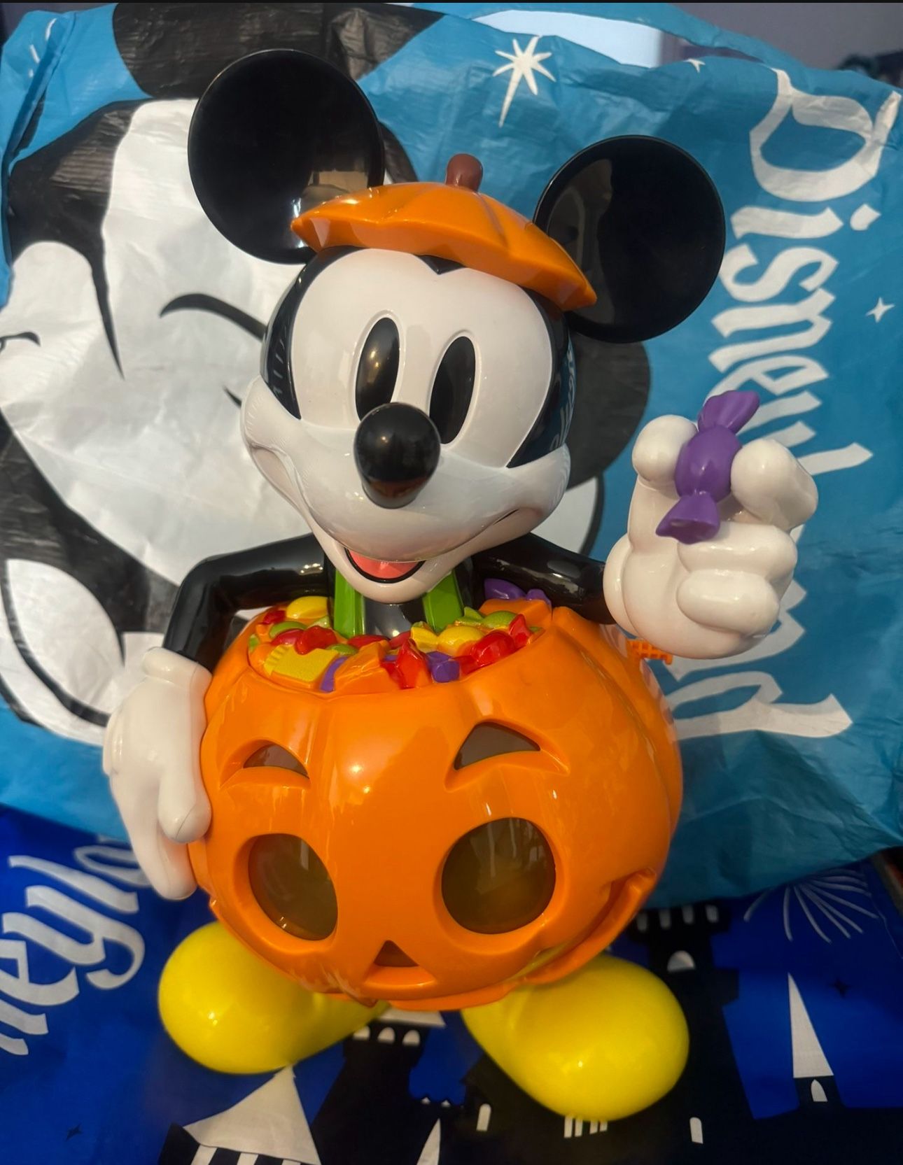 Mickey pumpkin Bucket