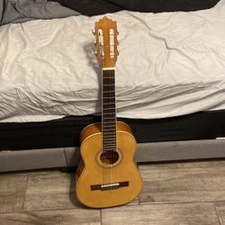 Palmer Guitar 