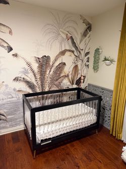 Convertible Children’s Crib/Bed – Never Used!