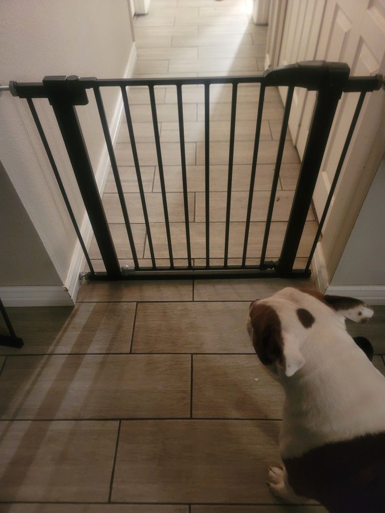 Baby Gate