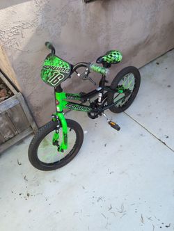 16" Schwinn Kid's Bike