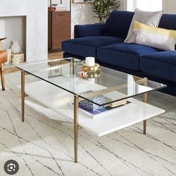 West Elm Mid Century Art Display Coffee Table