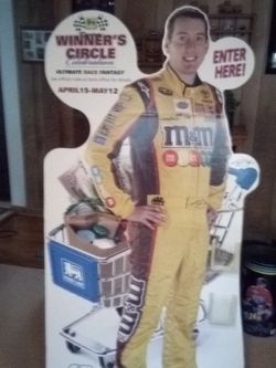 Kyle Busch Stand Up