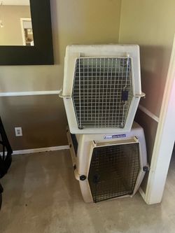 Dog kennels