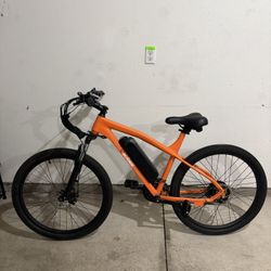 Actbest Race  e-bike 
