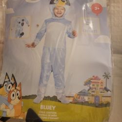 Bluey  & Bingo Costumes 
