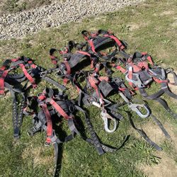 Safety Harnesses 