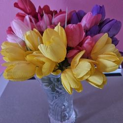 Tulips 🌷  4 Different Colors ALL For $5 cash 