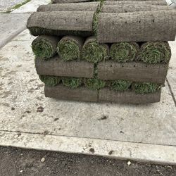 Sod