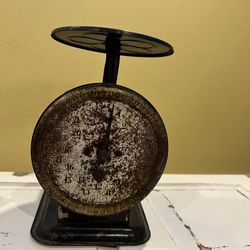 The Trojan Family Antique Scale