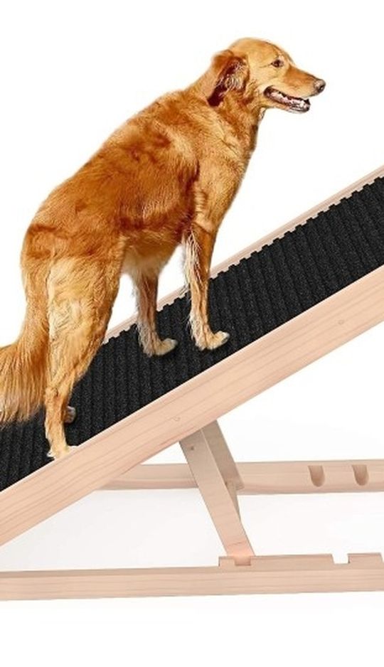 SASRL Adjustable Pet Ramp for All Dogs and Cats - Folding Portable Dog Ramp for Couch or Bed with Non Slip Carpet Surface, 40”Long and Height Adjustab