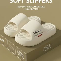 Slippers Ant sleeping 