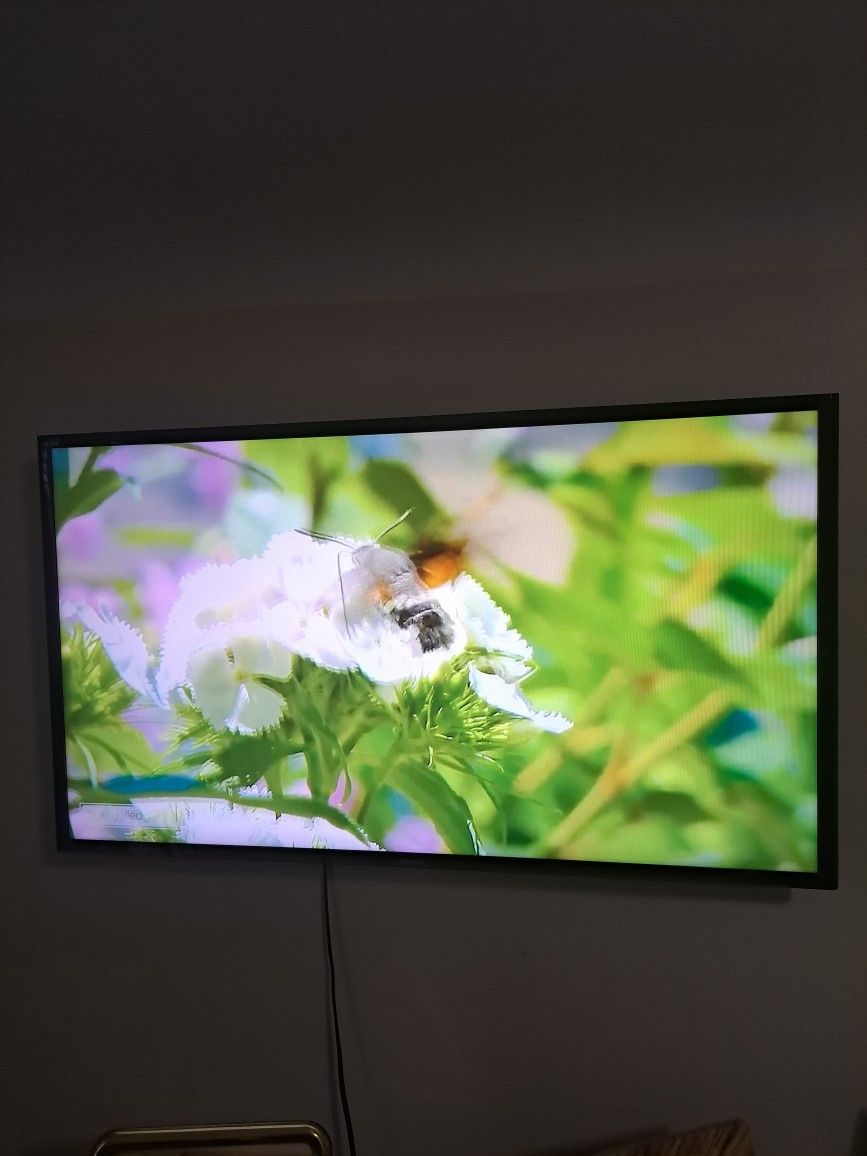 40"samsung TV Smart