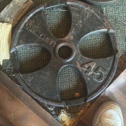 45 Lb  Plate Plus Curling Bar