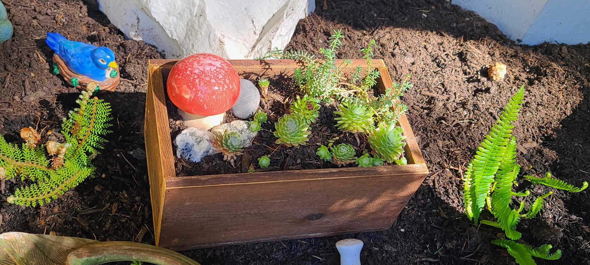 2  Handmade Cedar Planters With Succulents And Ceramic Mushrooms 
