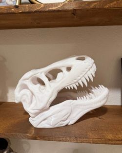 T-Rex Skull