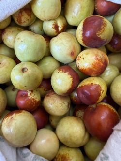 Fresh delicious Li jujubes