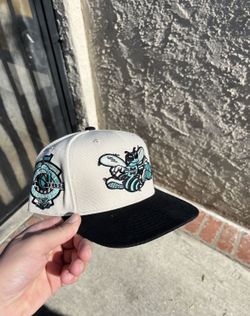 charlotte hornets fitted hat