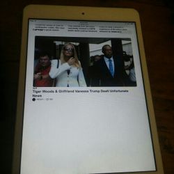 Ipad Mini -working 