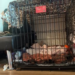 Large Dog Crate