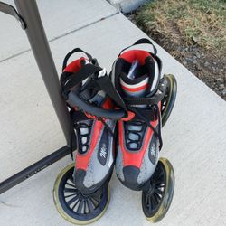 LAND ROLLER SKATES 