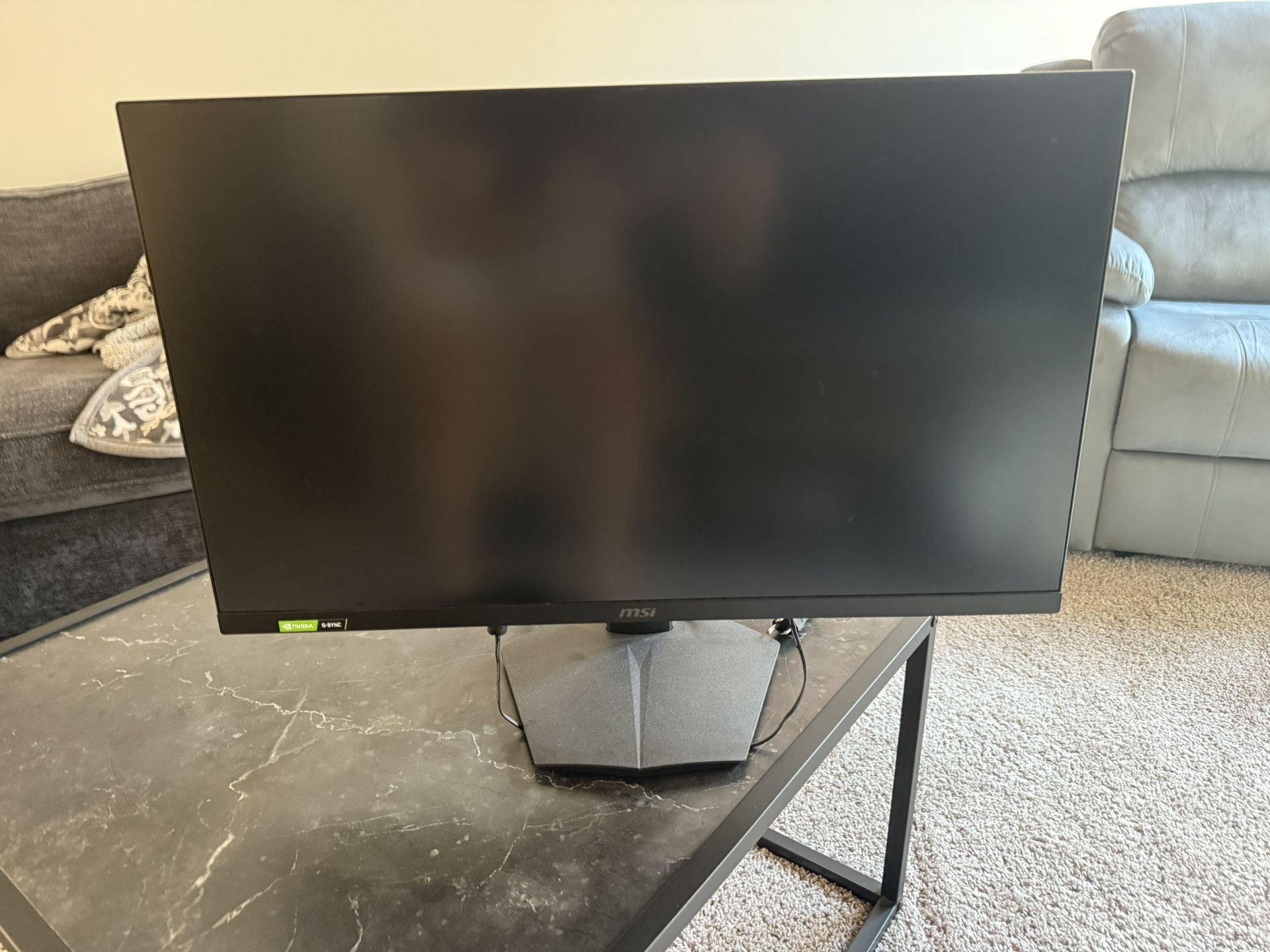 Gaming Monitor 