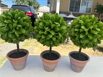 Home Decor Tree Plants