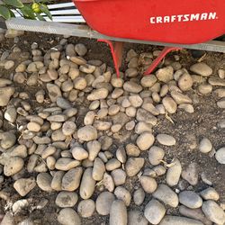 Arizona / Mexican Rocks