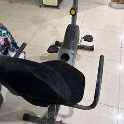 Static Bicycle Seat Has Cat Damage 