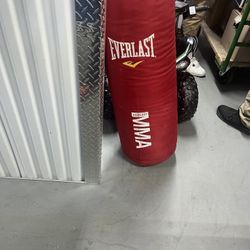 Everlast Punching Bag 