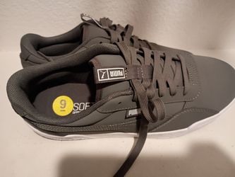 Grey pumas
