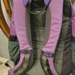 Patagonia Backpack 