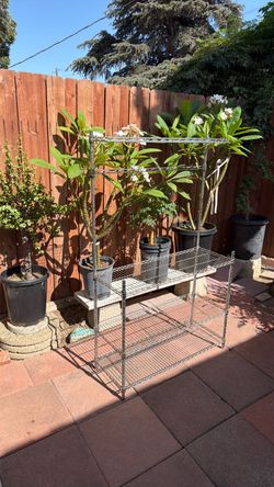 Metal Wire Bakers Rack with Wood Shelf