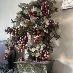 Massive Jade Grapes Tree