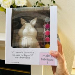 3D Ceramic Bunny Paint Kit