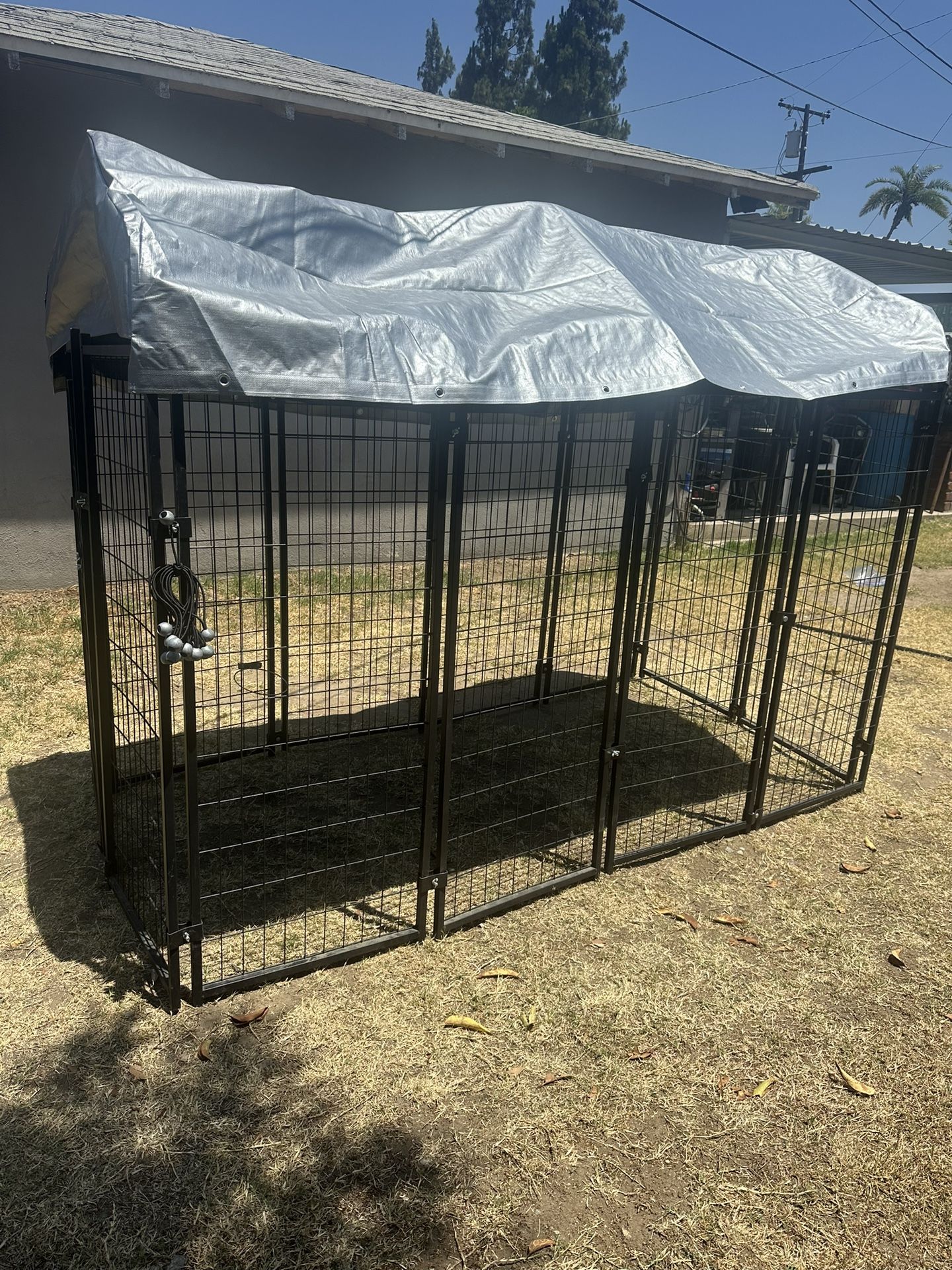 Dog Kennel
