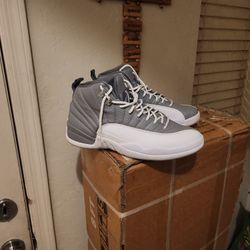 Jordan 12 Stealth 11